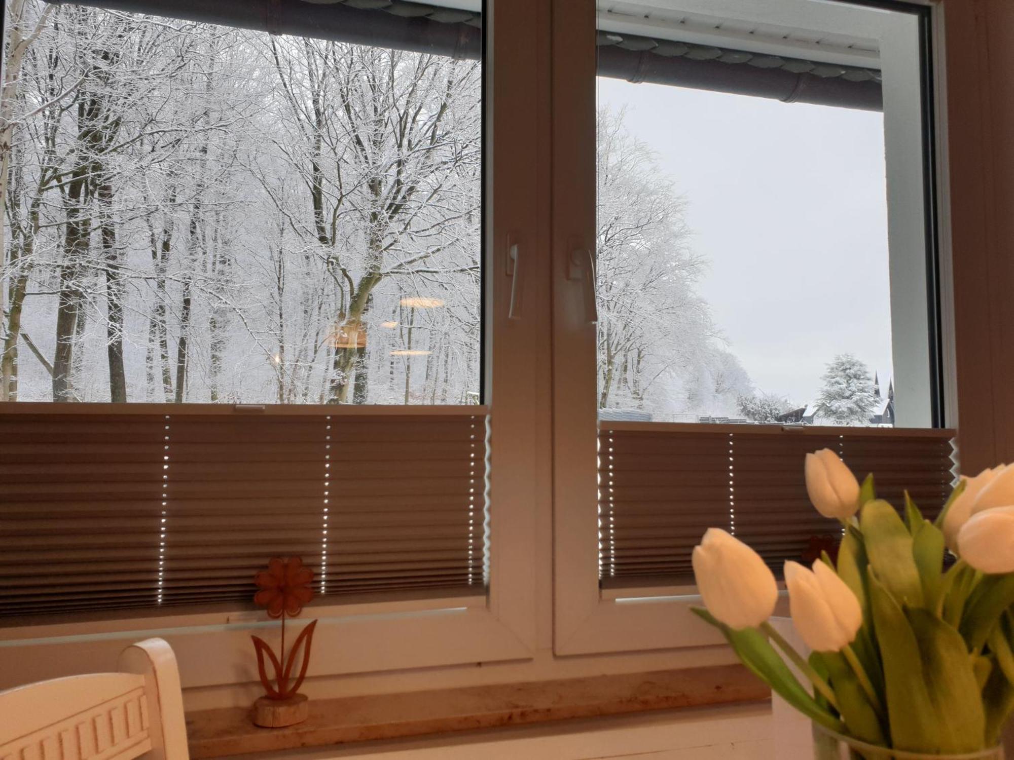 Fewo Winter In Der Villa Waldrand Mit Zwei Balkonen Bad Wunnenberg Exterior photo